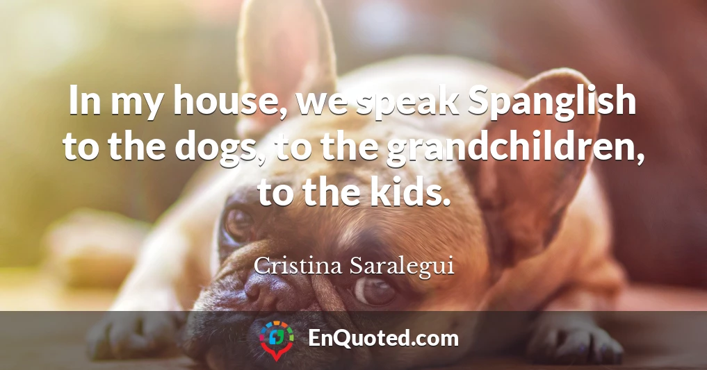 In my house, we speak Spanglish to the dogs, to the grandchildren, to the kids.