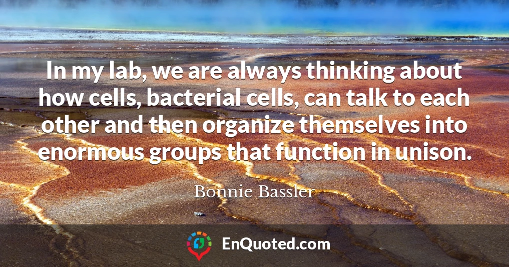 In my lab, we are always thinking about how cells, bacterial cells, can talk to each other and then organize themselves into enormous groups that function in unison.