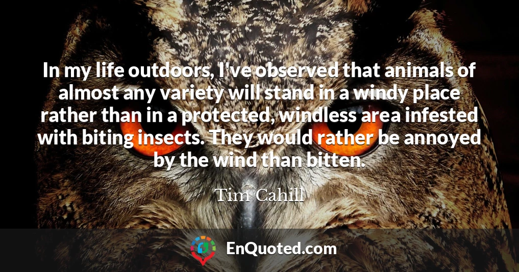 In my life outdoors, I've observed that animals of almost any variety will stand in a windy place rather than in a protected, windless area infested with biting insects. They would rather be annoyed by the wind than bitten.