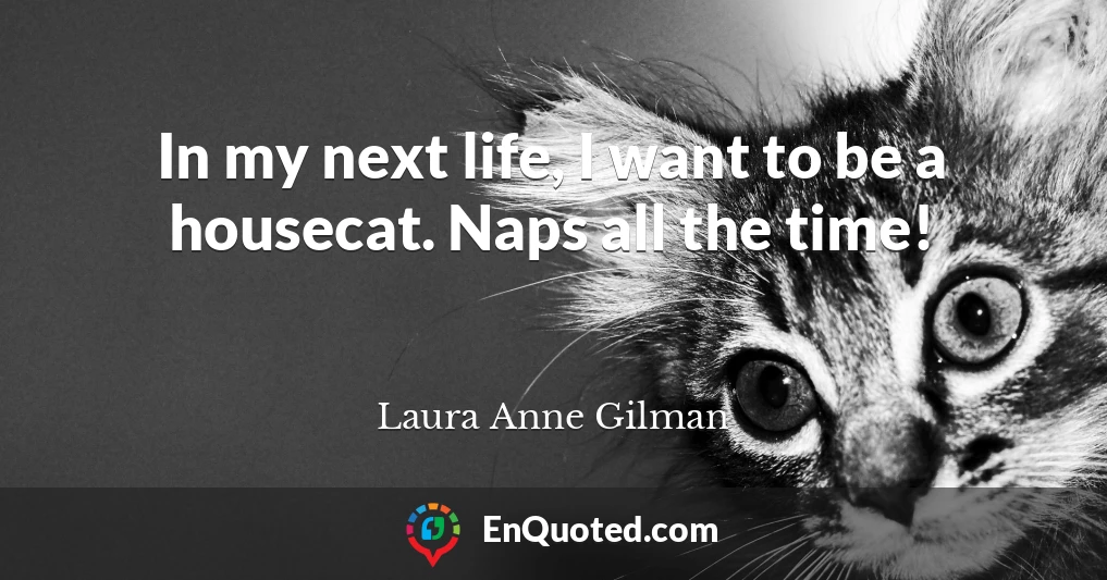 In my next life, I want to be a housecat. Naps all the time!