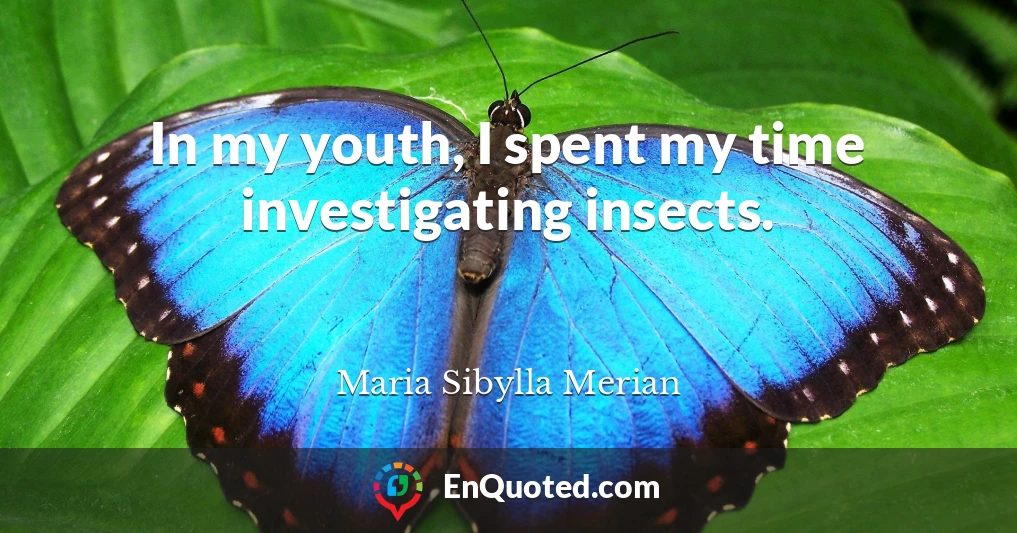 In my youth, I spent my time investigating insects.