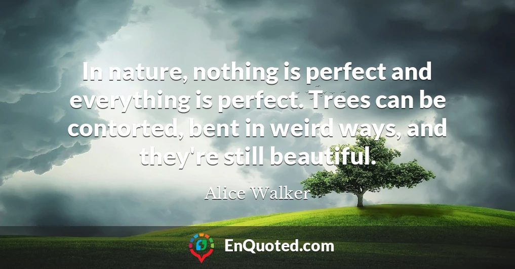 In nature, nothing is perfect and everything is perfect. Trees can be contorted, bent in weird ways, and they're still beautiful.