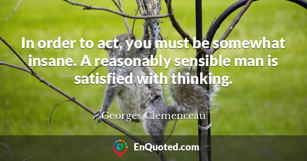 In order to act, you must be somewhat insane. A reasonably sensible man is satisfied with thinking.