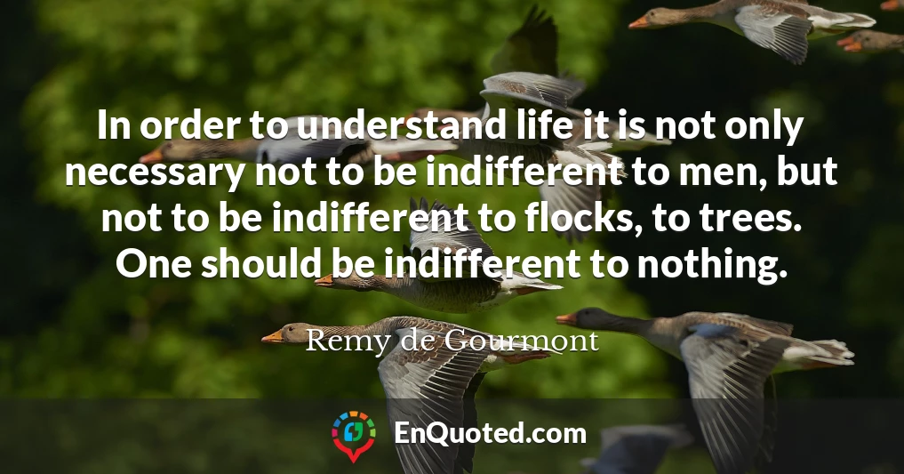 In order to understand life it is not only necessary not to be indifferent to men, but not to be indifferent to flocks, to trees. One should be indifferent to nothing.