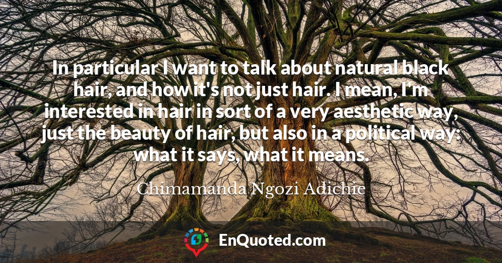In particular I want to talk about natural black hair, and how it's not just hair. I mean, I'm interested in hair in sort of a very aesthetic way, just the beauty of hair, but also in a political way: what it says, what it means.