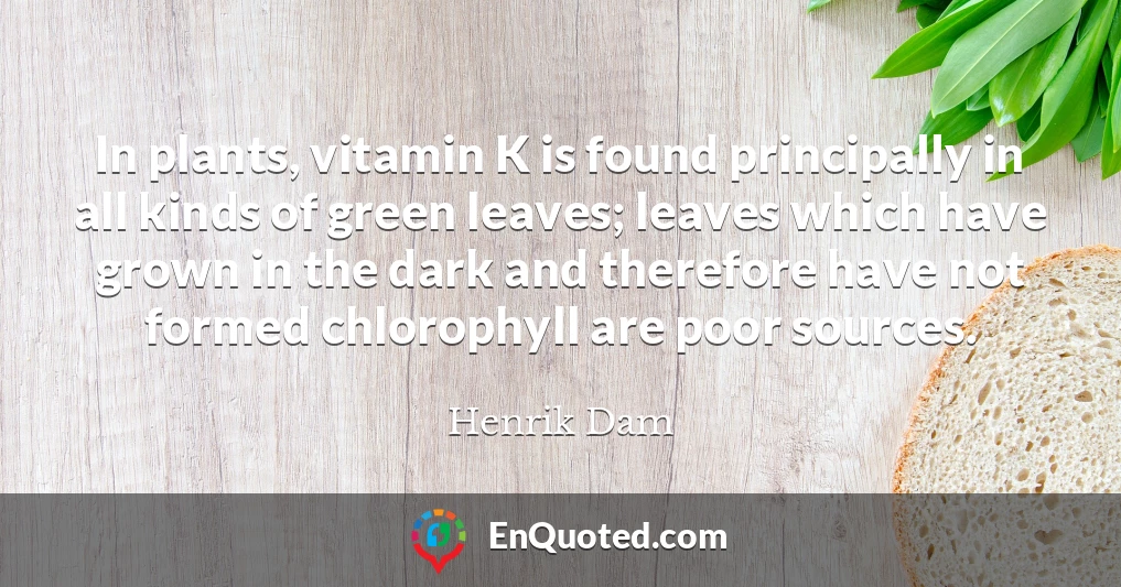 In plants, vitamin K is found principally in all kinds of green leaves; leaves which have grown in the dark and therefore have not formed chlorophyll are poor sources.
