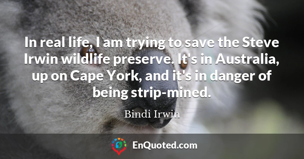 In real life, I am trying to save the Steve Irwin wildlife preserve. It's in Australia, up on Cape York, and it's in danger of being strip-mined.