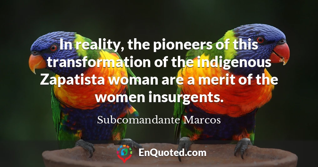 In reality, the pioneers of this transformation of the indigenous Zapatista woman are a merit of the women insurgents.