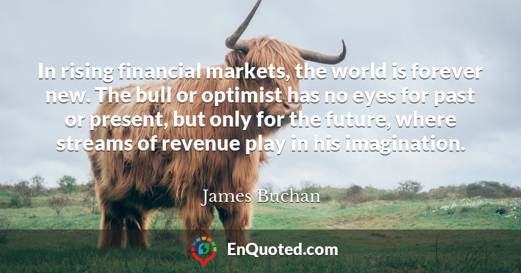 In rising financial markets, the world is forever new. The bull or optimist has no eyes for past or present, but only for the future, where streams of revenue play in his imagination.