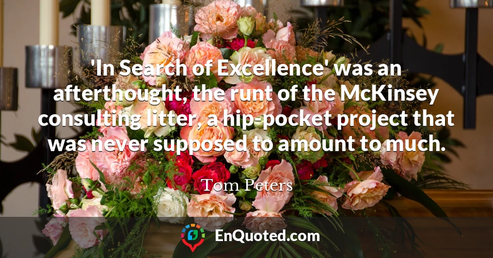 'In Search of Excellence' was an afterthought, the runt of the McKinsey consulting litter, a hip-pocket project that was never supposed to amount to much.