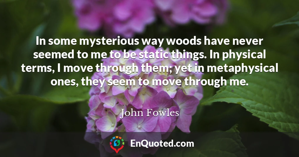 In some mysterious way woods have never seemed to me to be static things. In physical terms, I move through them; yet in metaphysical ones, they seem to move through me.