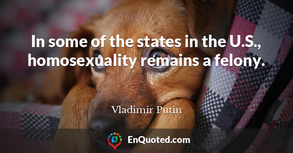 In some of the states in the U.S., homosexuality remains a felony.
