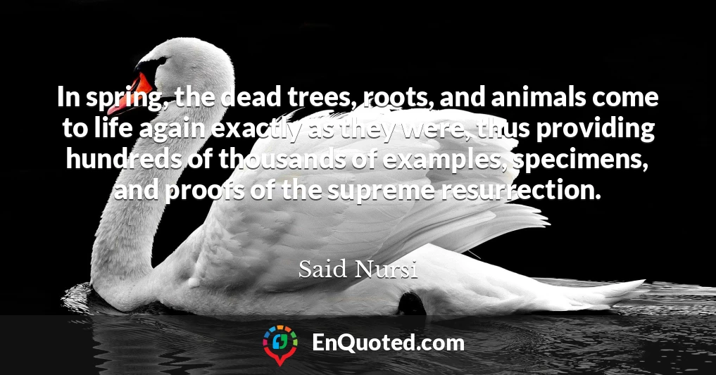 In spring, the dead trees, roots, and animals come to life again exactly as they were, thus providing hundreds of thousands of examples, specimens, and proofs of the supreme resurrection.