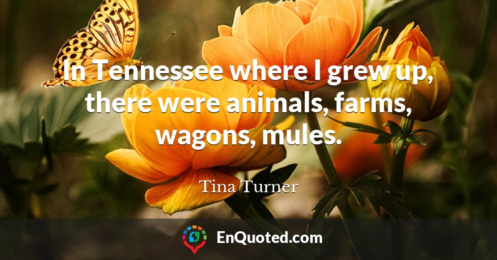 In Tennessee where I grew up, there were animals, farms, wagons, mules.