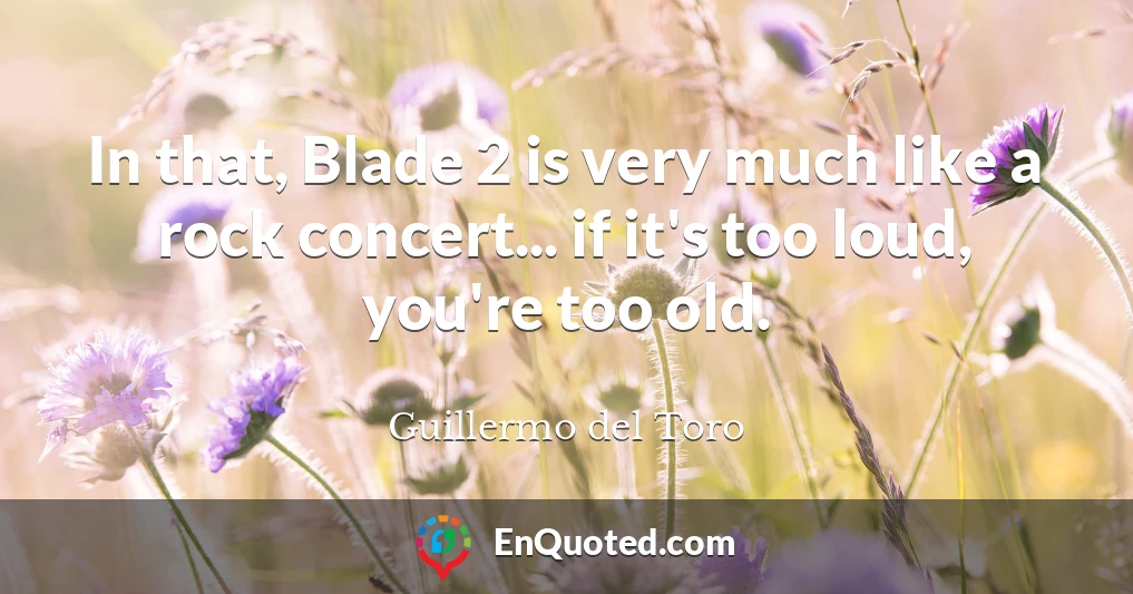 In that, Blade 2 is very much like a rock concert... if it's too loud, you're too old.