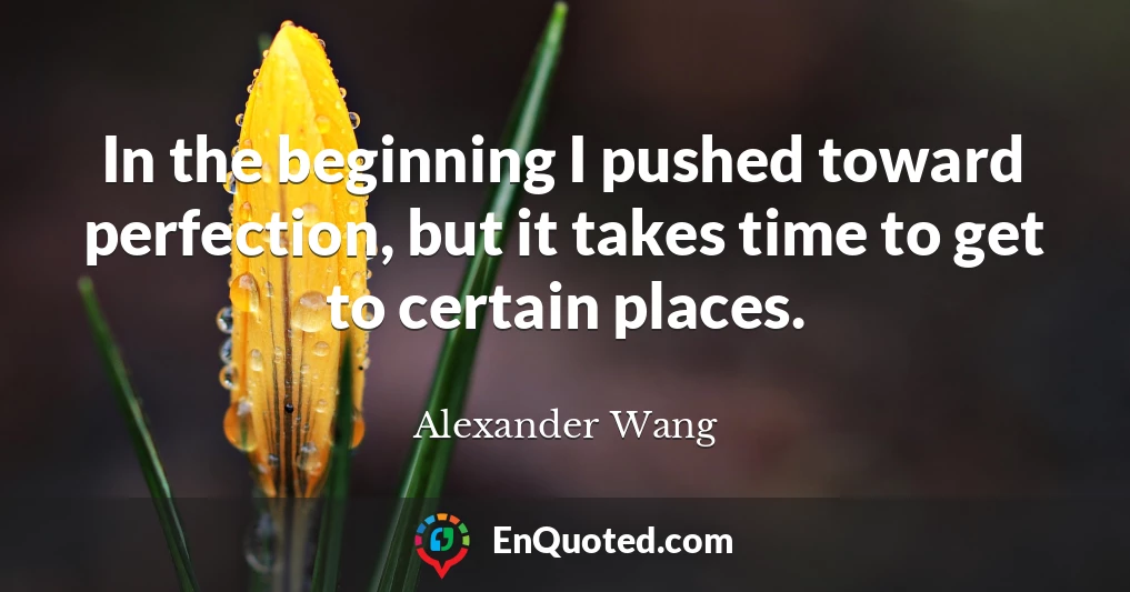 In the beginning I pushed toward perfection, but it takes time to get to certain places.