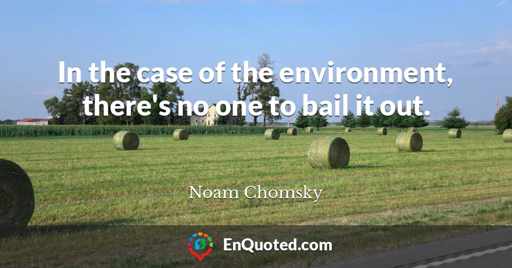 In the case of the environment, there's no one to bail it out.