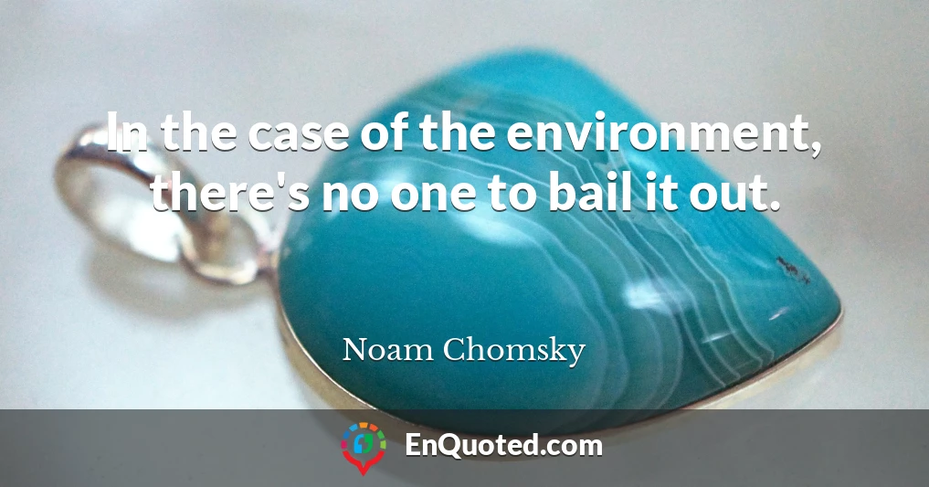 In the case of the environment, there's no one to bail it out.