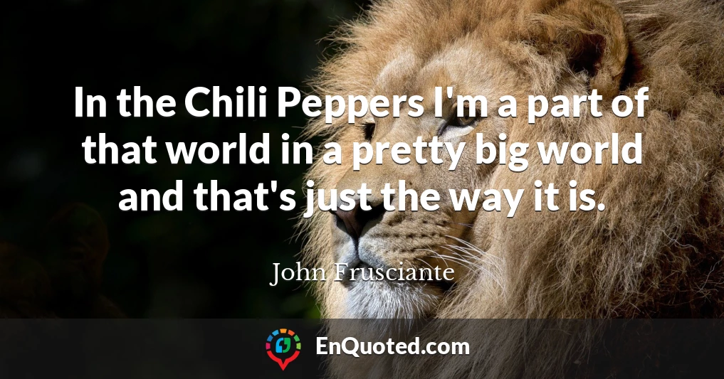 In the Chili Peppers I'm a part of that world in a pretty big world and that's just the way it is.