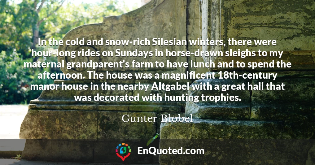 In the cold and snow-rich Silesian winters, there were hour-long rides on Sundays in horse-drawn sleighs to my maternal grandparent's farm to have lunch and to spend the afternoon. The house was a magnificent 18th-century manor house in the nearby Altgabel with a great hall that was decorated with hunting trophies.