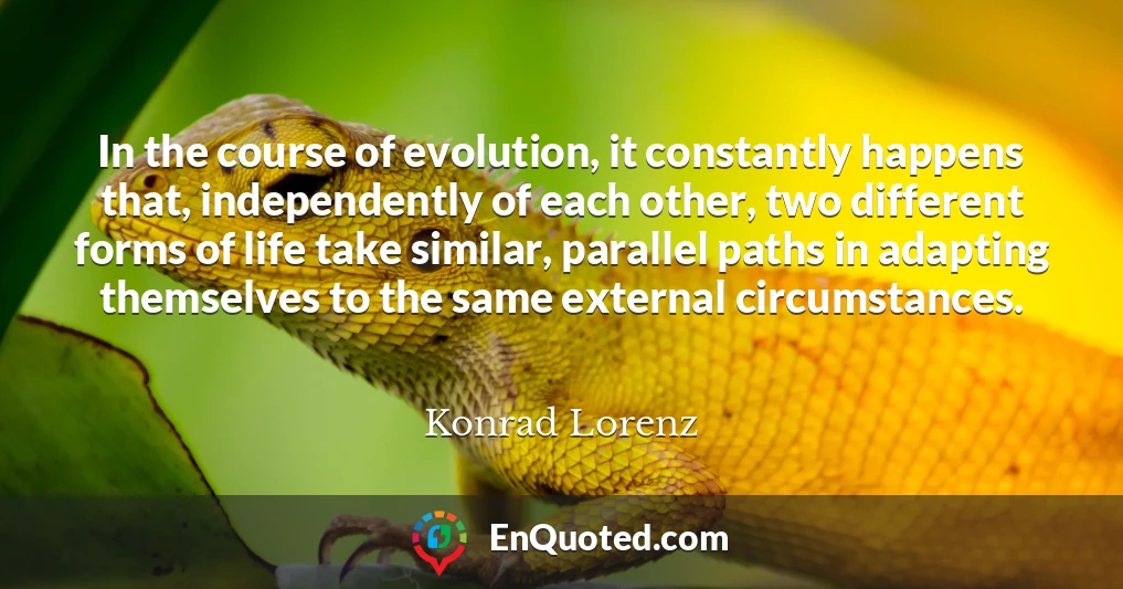 In the course of evolution, it constantly happens that, independently of each other, two different forms of life take similar, parallel paths in adapting themselves to the same external circumstances.