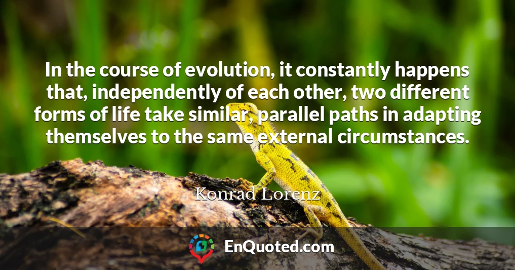 In the course of evolution, it constantly happens that, independently of each other, two different forms of life take similar, parallel paths in adapting themselves to the same external circumstances.