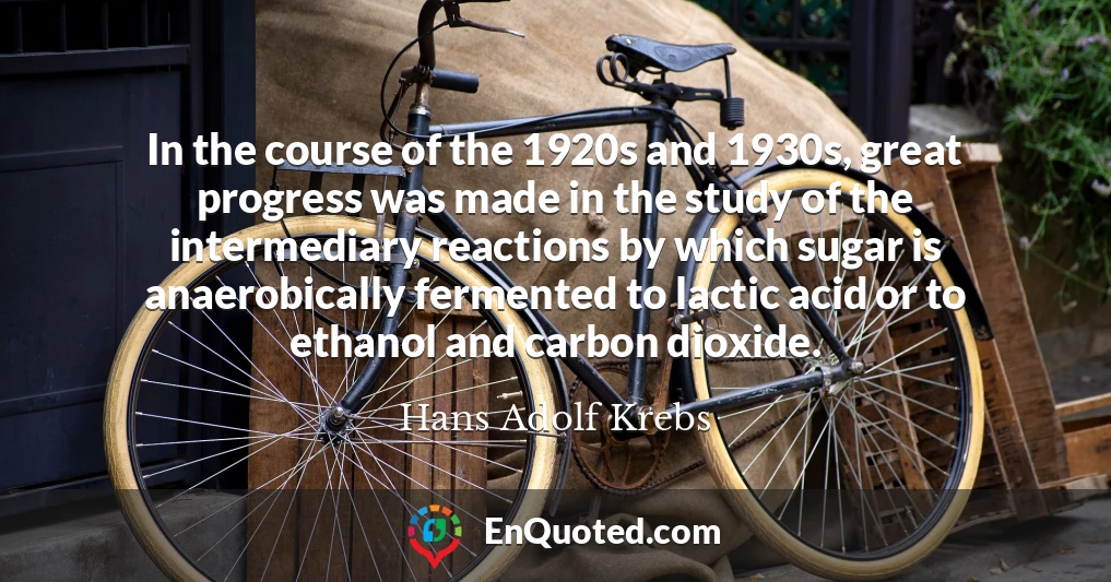 In the course of the 1920s and 1930s, great progress was made in the study of the intermediary reactions by which sugar is anaerobically fermented to lactic acid or to ethanol and carbon dioxide.