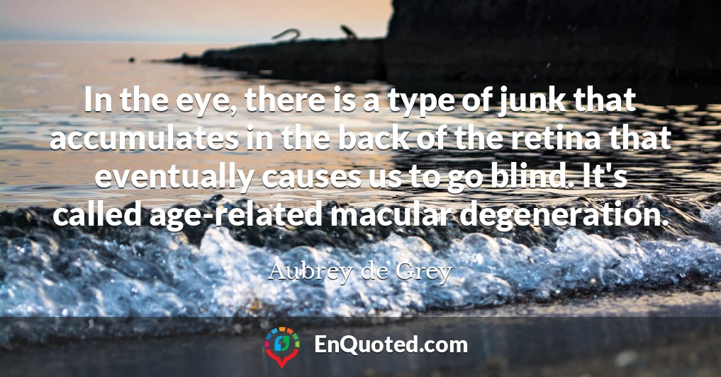 In the eye, there is a type of junk that accumulates in the back of the retina that eventually causes us to go blind. It's called age-related macular degeneration.