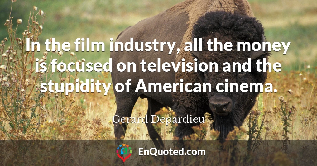 In the film industry, all the money is focused on television and the stupidity of American cinema.
