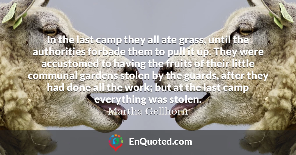 In the last camp they all ate grass, until the authorities forbade them to pull it up. They were accustomed to having the fruits of their little communal gardens stolen by the guards, after they had done all the work; but at the last camp everything was stolen.