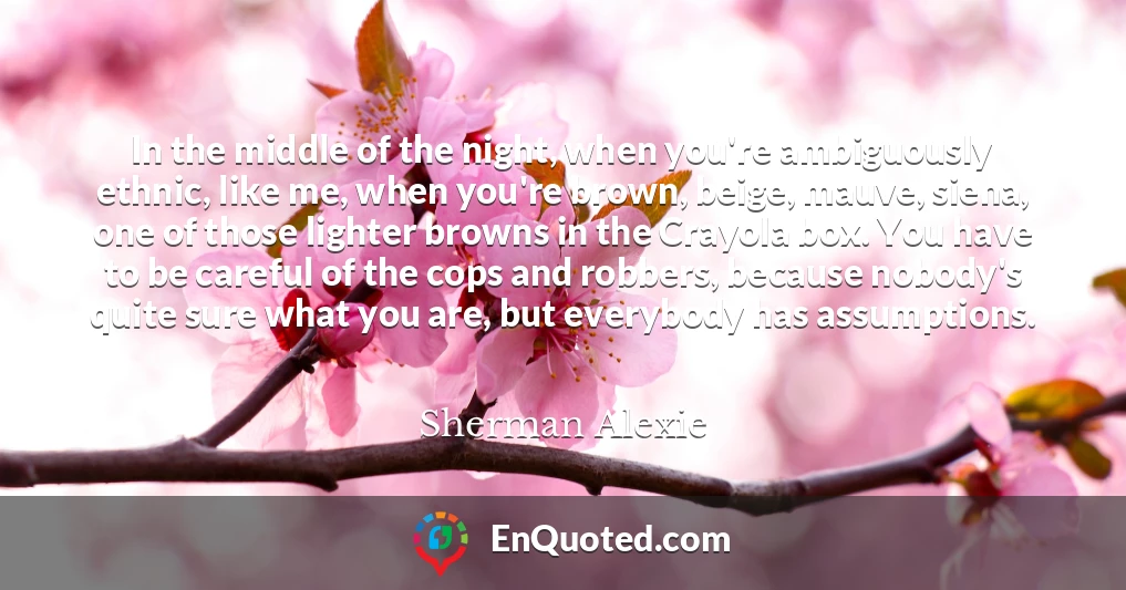 In the middle of the night, when you're ambiguously ethnic, like me, when you're brown, beige, mauve, siena, one of those lighter browns in the Crayola box. You have to be careful of the cops and robbers, because nobody's quite sure what you are, but everybody has assumptions.