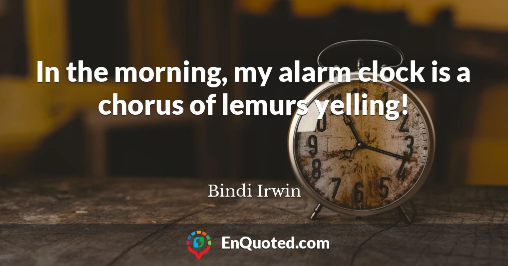 In the morning, my alarm clock is a chorus of lemurs yelling!