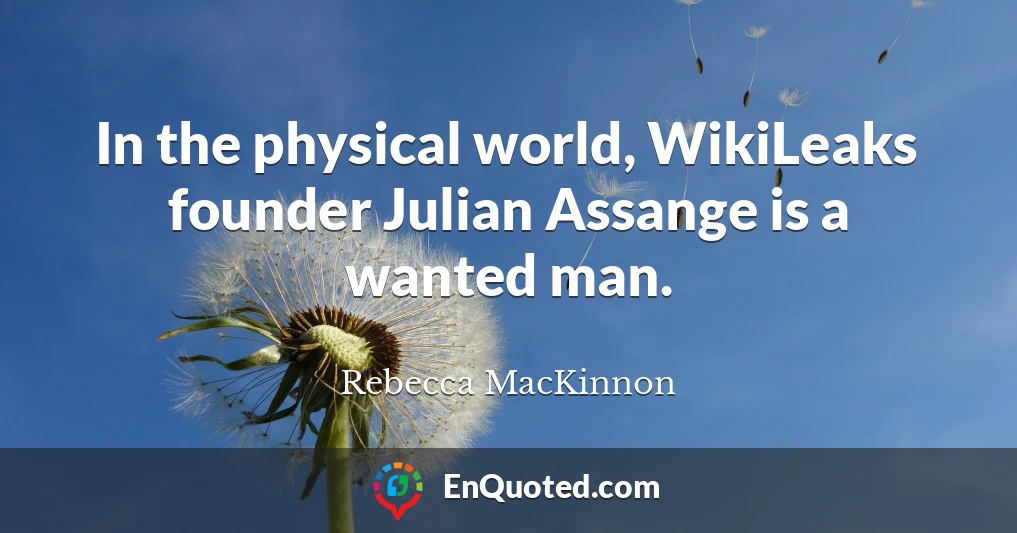 In the physical world, WikiLeaks founder Julian Assange is a wanted man.