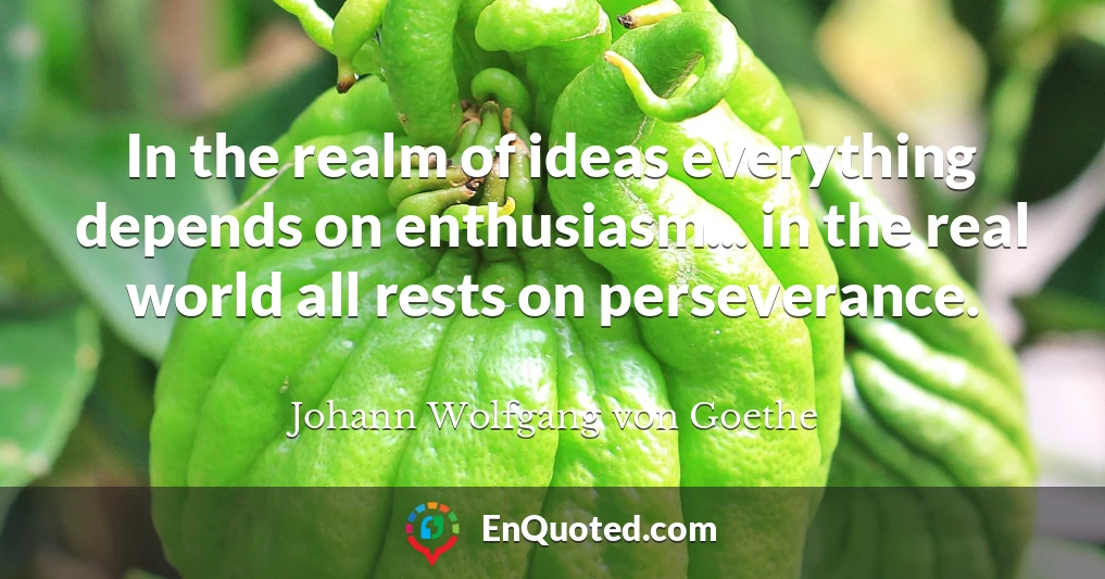 In the realm of ideas everything depends on enthusiasm... in the real world all rests on perseverance.