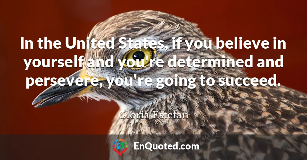 In the United States, if you believe in yourself and you're determined and persevere, you're going to succeed.