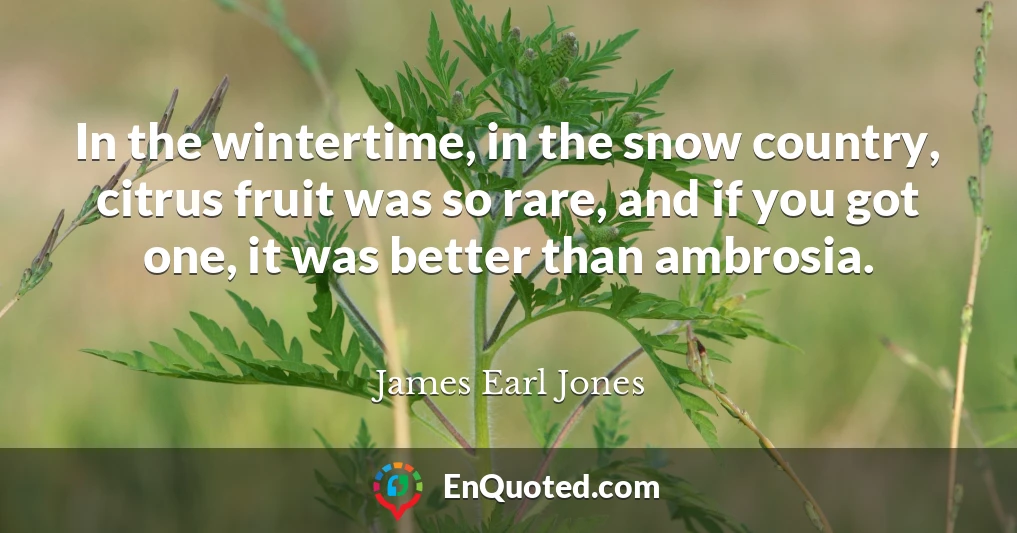 In the wintertime, in the snow country, citrus fruit was so rare, and if you got one, it was better than ambrosia.