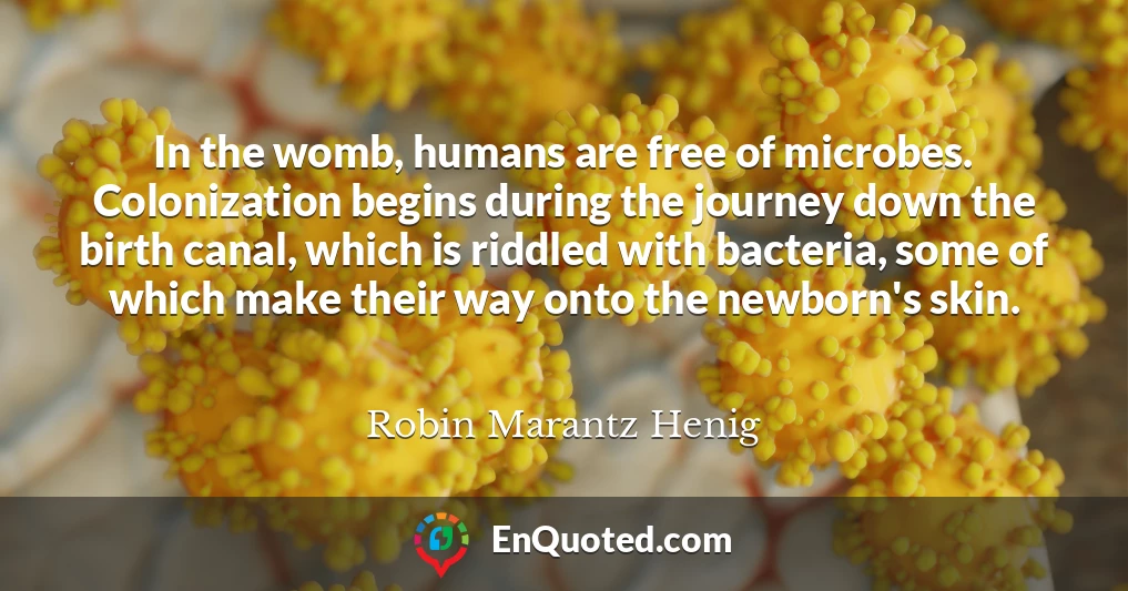 In the womb, humans are free of microbes. Colonization begins during the journey down the birth canal, which is riddled with bacteria, some of which make their way onto the newborn's skin.