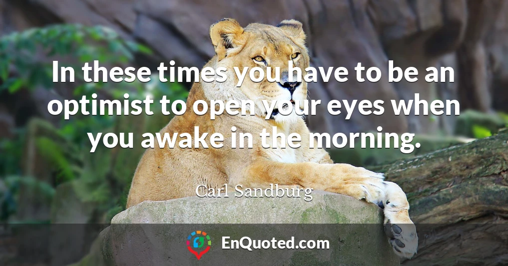 In these times you have to be an optimist to open your eyes when you awake in the morning.