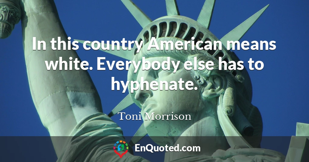 In this country American means white. Everybody else has to hyphenate.