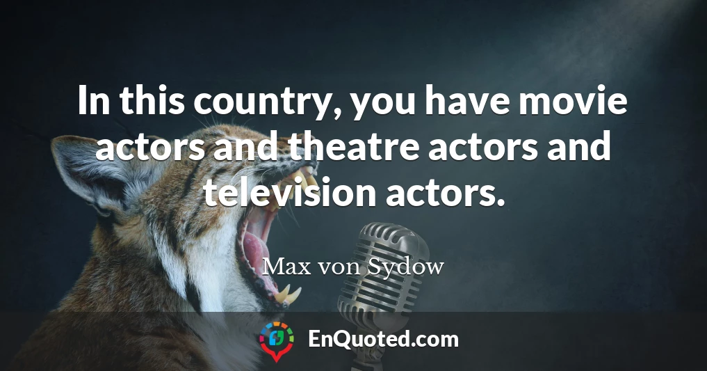 In this country, you have movie actors and theatre actors and television actors.