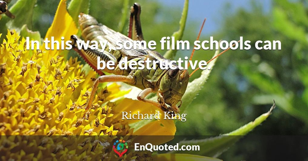 In this way, some film schools can be destructive.