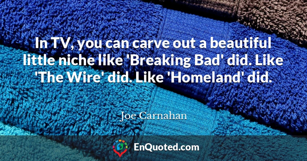 In TV, you can carve out a beautiful little niche like 'Breaking Bad' did. Like 'The Wire' did. Like 'Homeland' did.