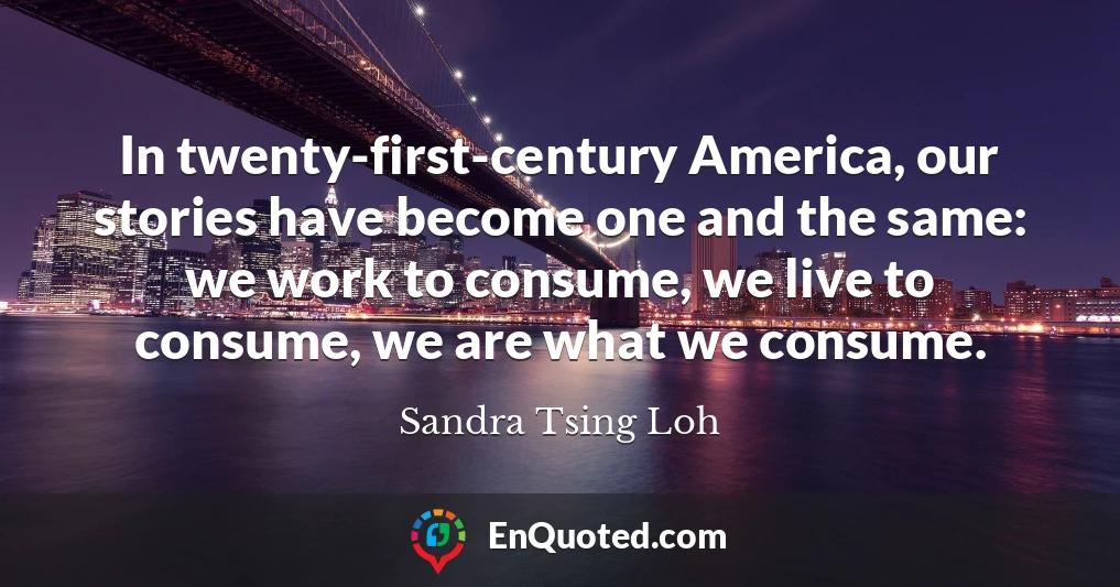 In twenty-first-century America, our stories have become one and the same: we work to consume, we live to consume, we are what we consume.