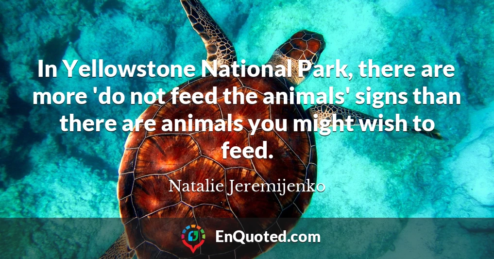 In Yellowstone National Park, there are more 'do not feed the animals' signs than there are animals you might wish to feed.