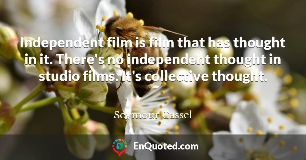 Independent film is film that has thought in it. There's no independent thought in studio films. It's collective thought.