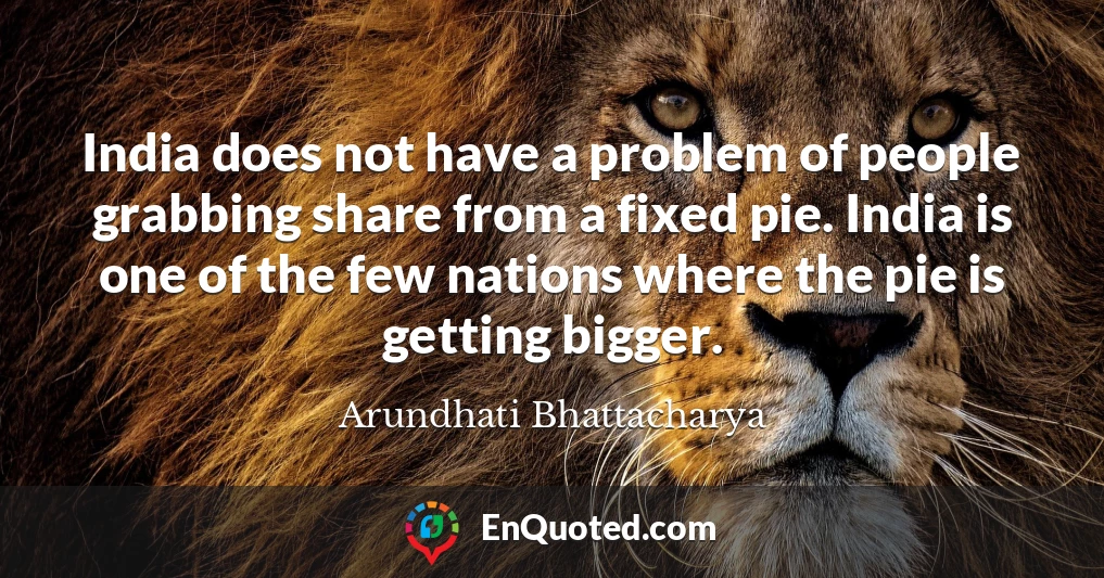 India does not have a problem of people grabbing share from a fixed pie. India is one of the few nations where the pie is getting bigger.
