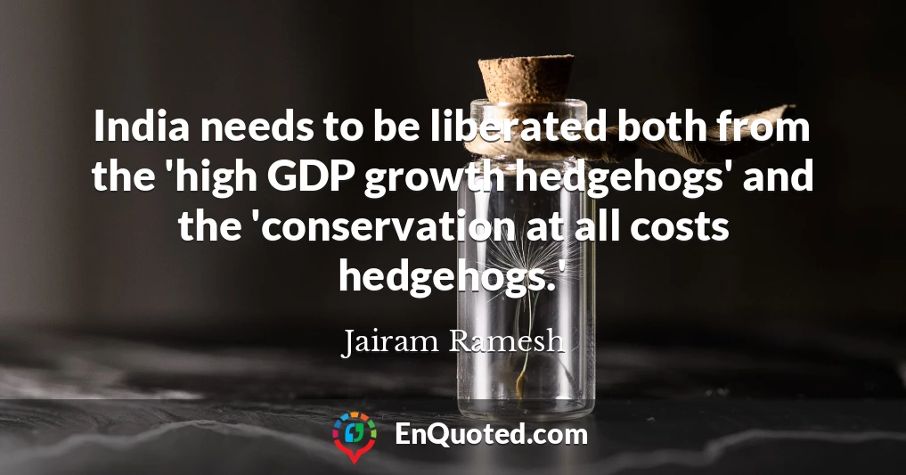 India needs to be liberated both from the 'high GDP growth hedgehogs' and the 'conservation at all costs hedgehogs.'