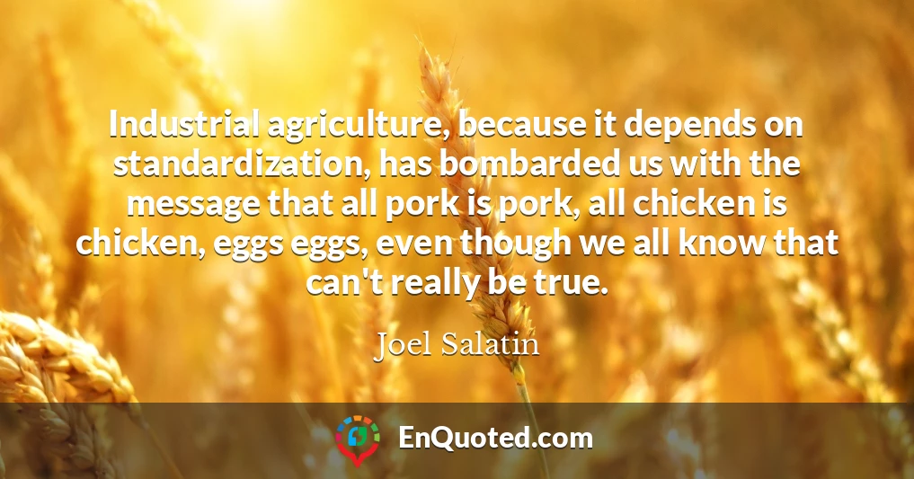 Industrial agriculture, because it depends on standardization, has bombarded us with the message that all pork is pork, all chicken is chicken, eggs eggs, even though we all know that can't really be true.