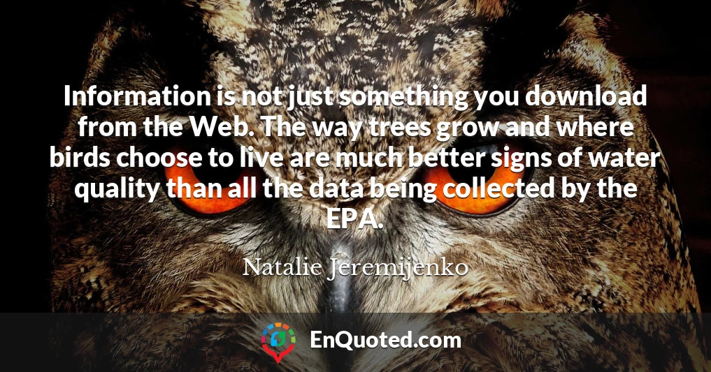 Information is not just something you download from the Web. The way trees grow and where birds choose to live are much better signs of water quality than all the data being collected by the EPA.