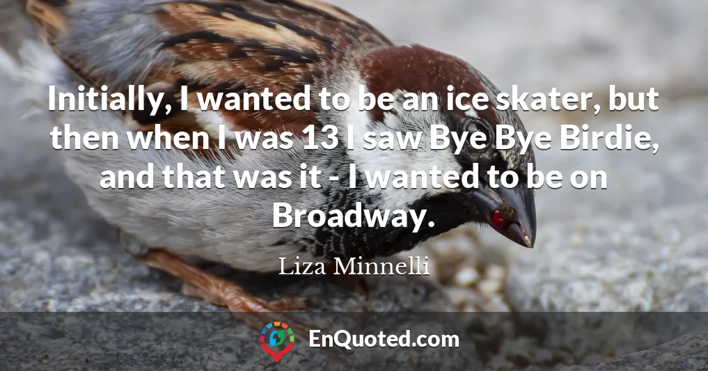 Initially, I wanted to be an ice skater, but then when I was 13 I saw Bye Bye Birdie, and that was it - I wanted to be on Broadway.